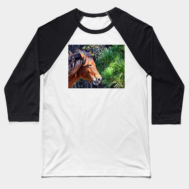 Assateague Pony Enjoying a Splash of Sunshine Baseball T-Shirt by Swartwout